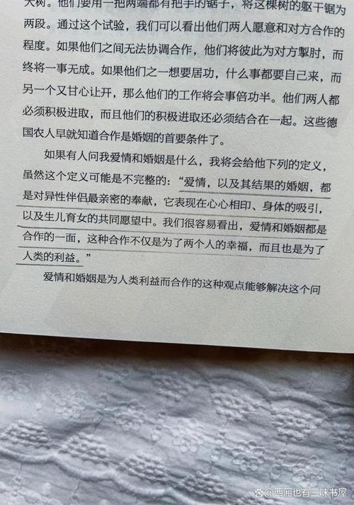 我们的存在（下）