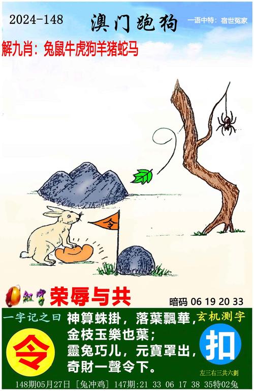 澳采全年资料大全:轿车行驶中离地弹起