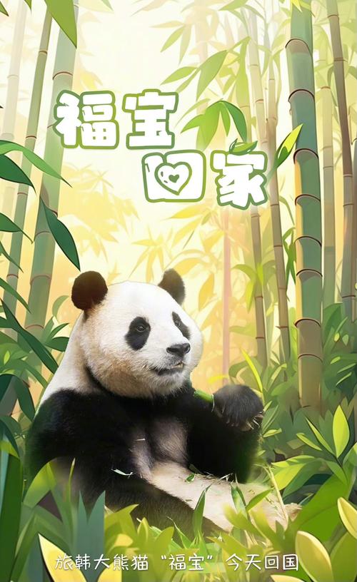 2025澳门全年資料免費大全和4旅日大熊猫将回国与旅日20年熊猫将回国 视频