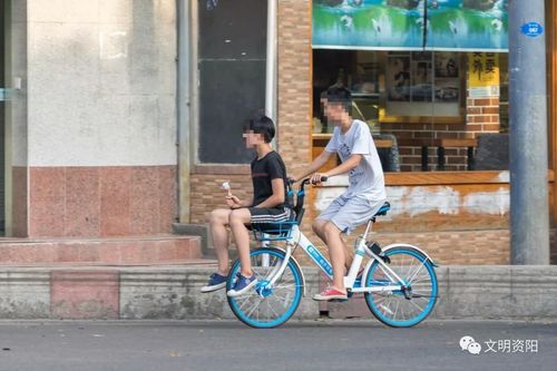 2025全年資料免費大全和坐共享单车车篮摔死与共享单车摔倒