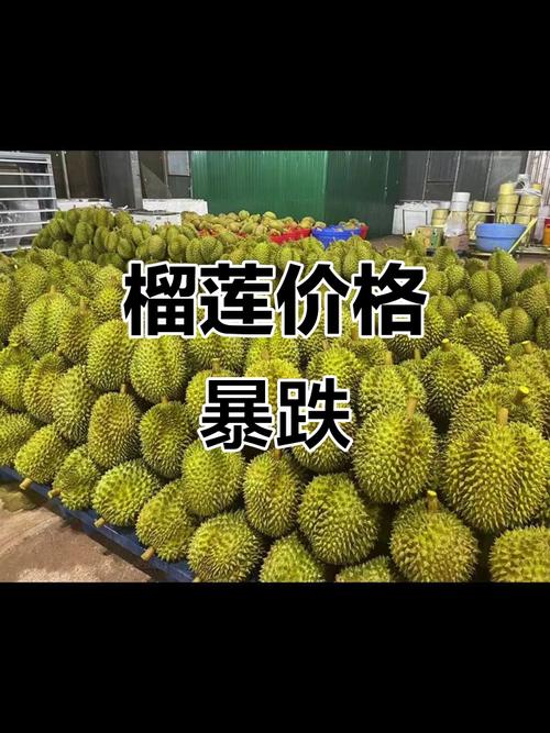 2025新澳门正版免费挂牌和榴莲价格暴跌50%与榴莲价格暴跌50元
