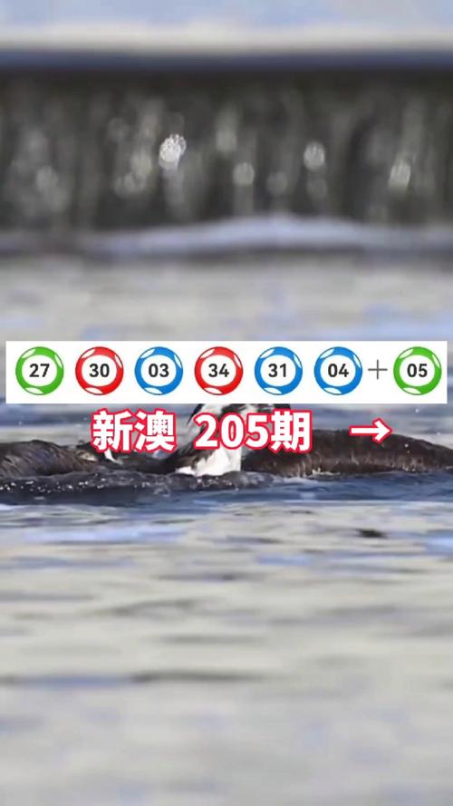 新澳正版资料大全免費和从1400人裁到18人与从13人到9000人